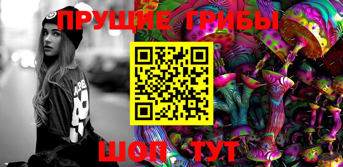 Псилоцибиновые грибы Cubensis Междуреченск
